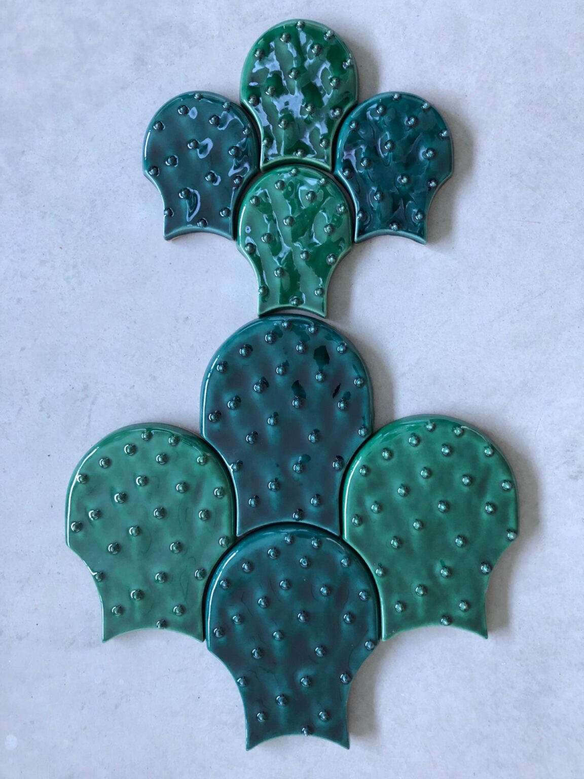 daisy-cacti-s-new-terracotta